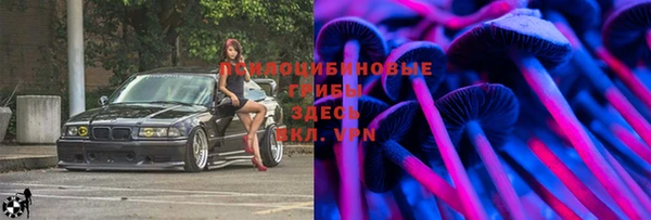 каннабис Осташков